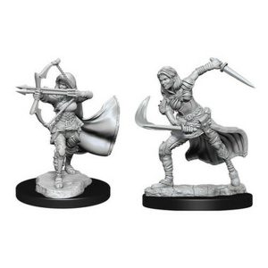 Pathfinder Deep Cuts Miniatures - 2x Air Female Genasi