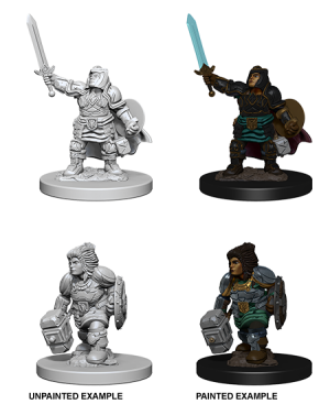 D&D Nolzur's Marvelous Miniatures - 2x Dwarf Female Paladin