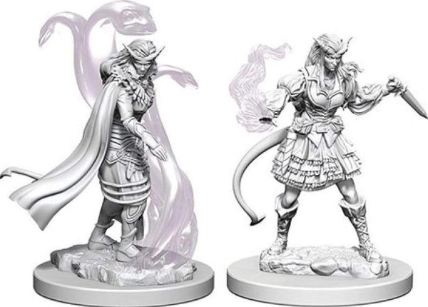 D&D Nolzur's Marvelous Miniatures - 2x Tiefling Female Sorceror