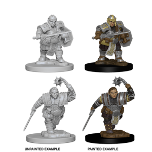 D&D Nolzur's Marvelous Miniatures - 2x Dwarf Female Fighter