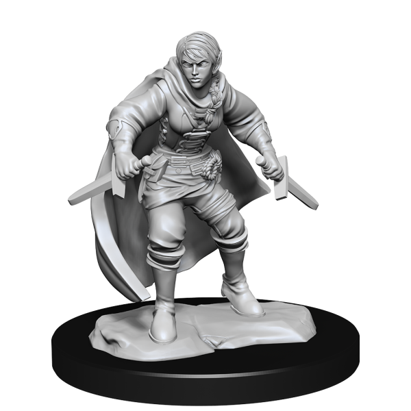 D&D Nolzur's Marvelous Miniatures - 2x Half-Elf Female Rogue