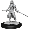 D&D Nolzur's Marvelous Miniatures - 2x Half-Elf Female Rogue