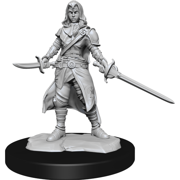 D&D Nolzur's Marvelous Miniatures - 2x Half-Elf Female Rogue