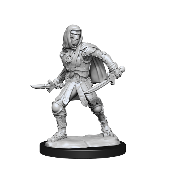 D&D Nolzur's Marvelous Miniatures - 2x Warforged Rogue