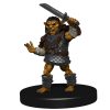 D&D Icons of the Realms: Goblin Warband