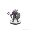 WizKids D&D The Legend of Drizzt 35th Anniversary - Tabletop Companions Boxed Set