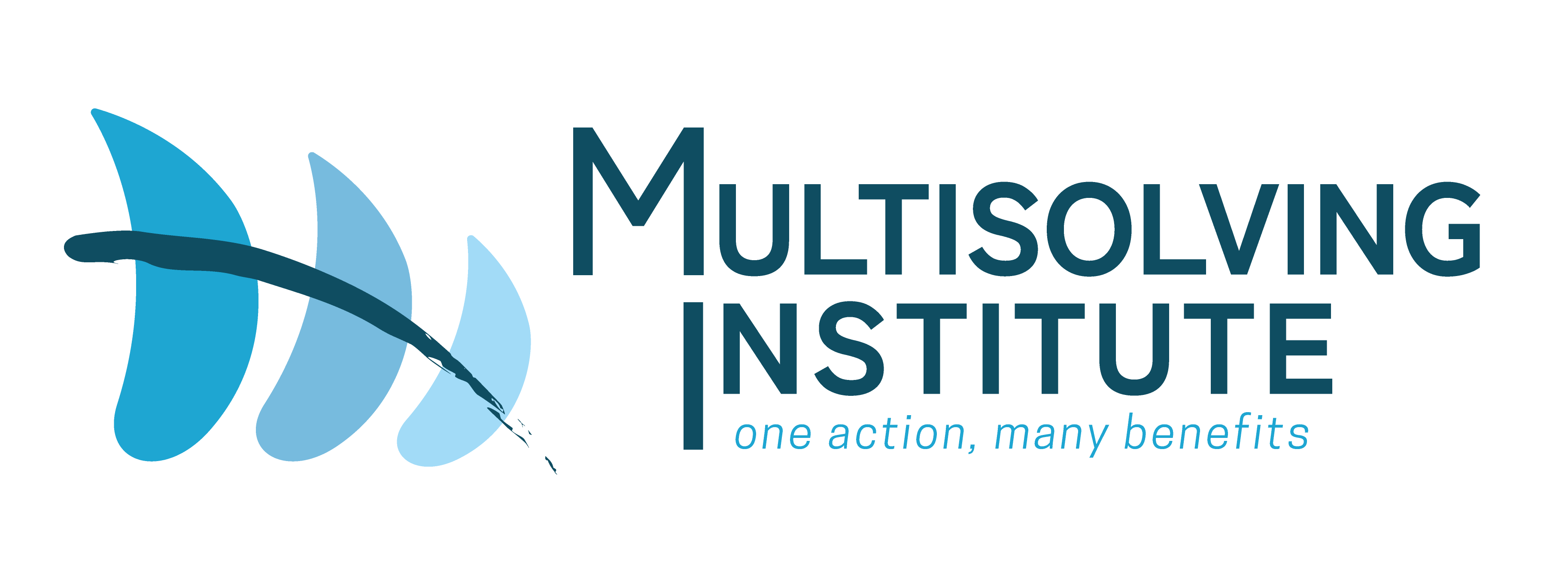 Multisolving Institute