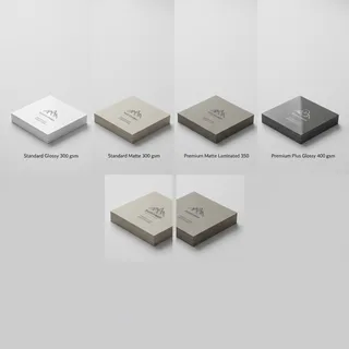 Standard Visiting Cards — photo 3