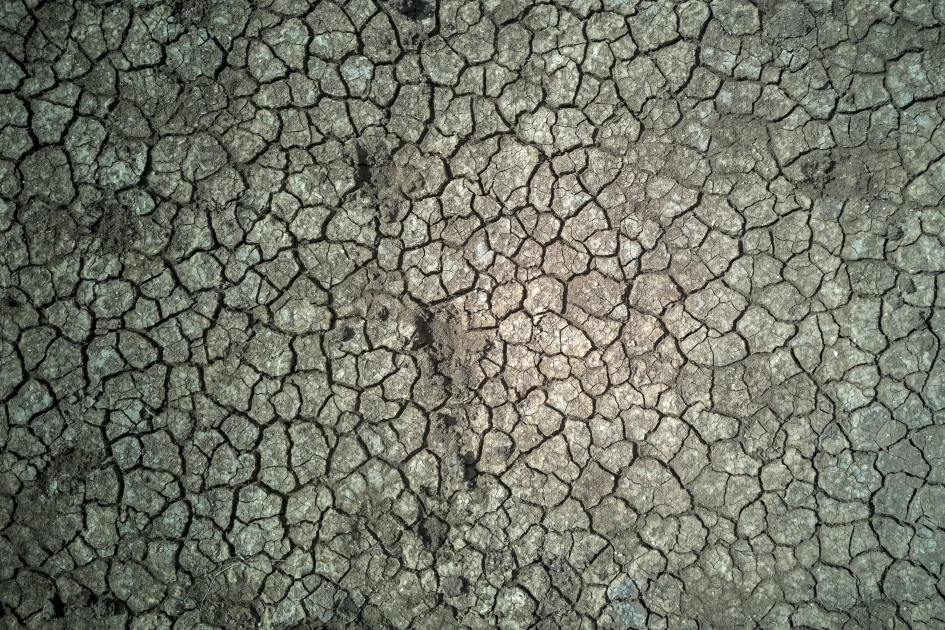 El Nino will intensify, then peak in December: UN