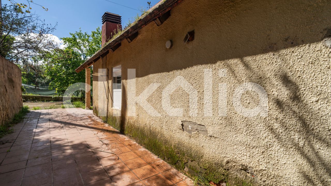 media image