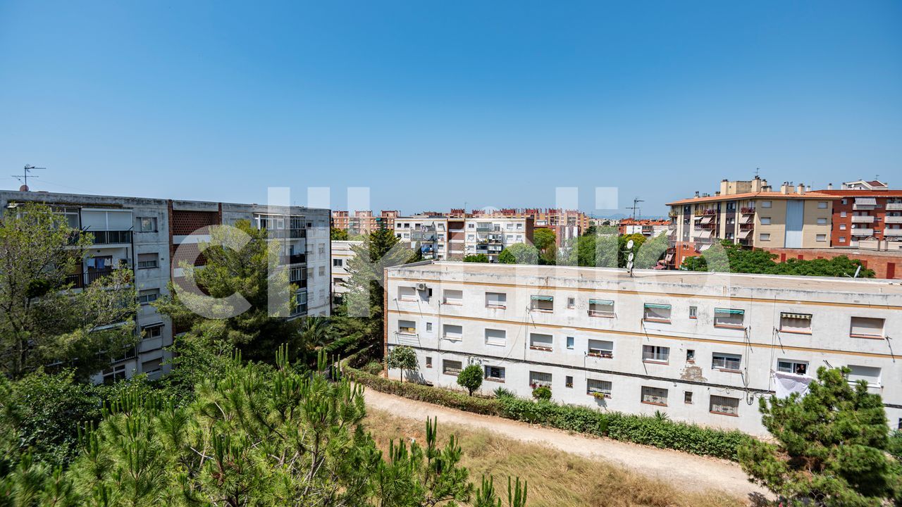 media image