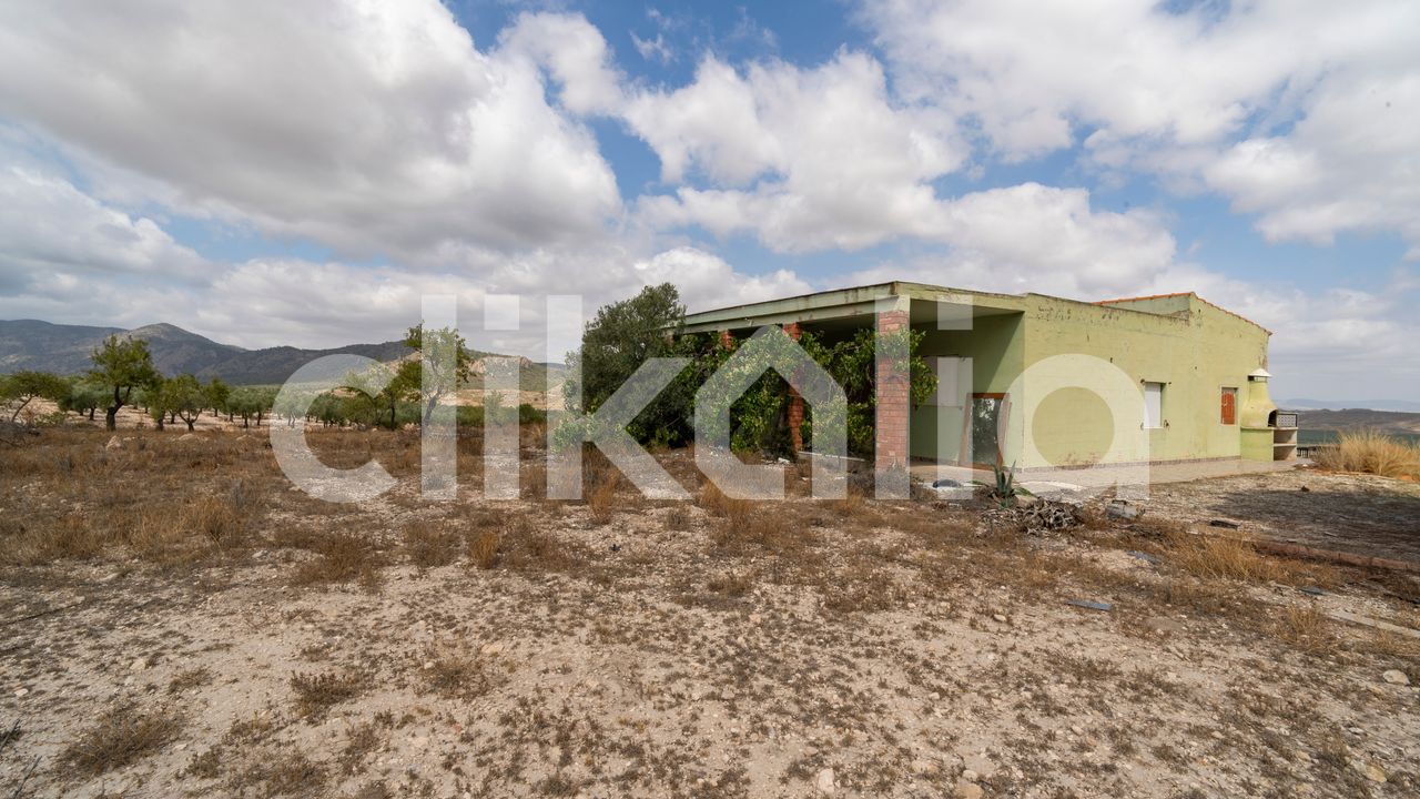 media image
