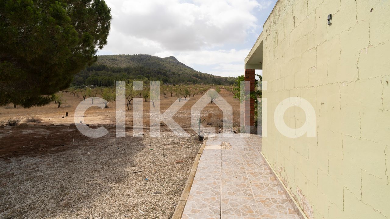 media image