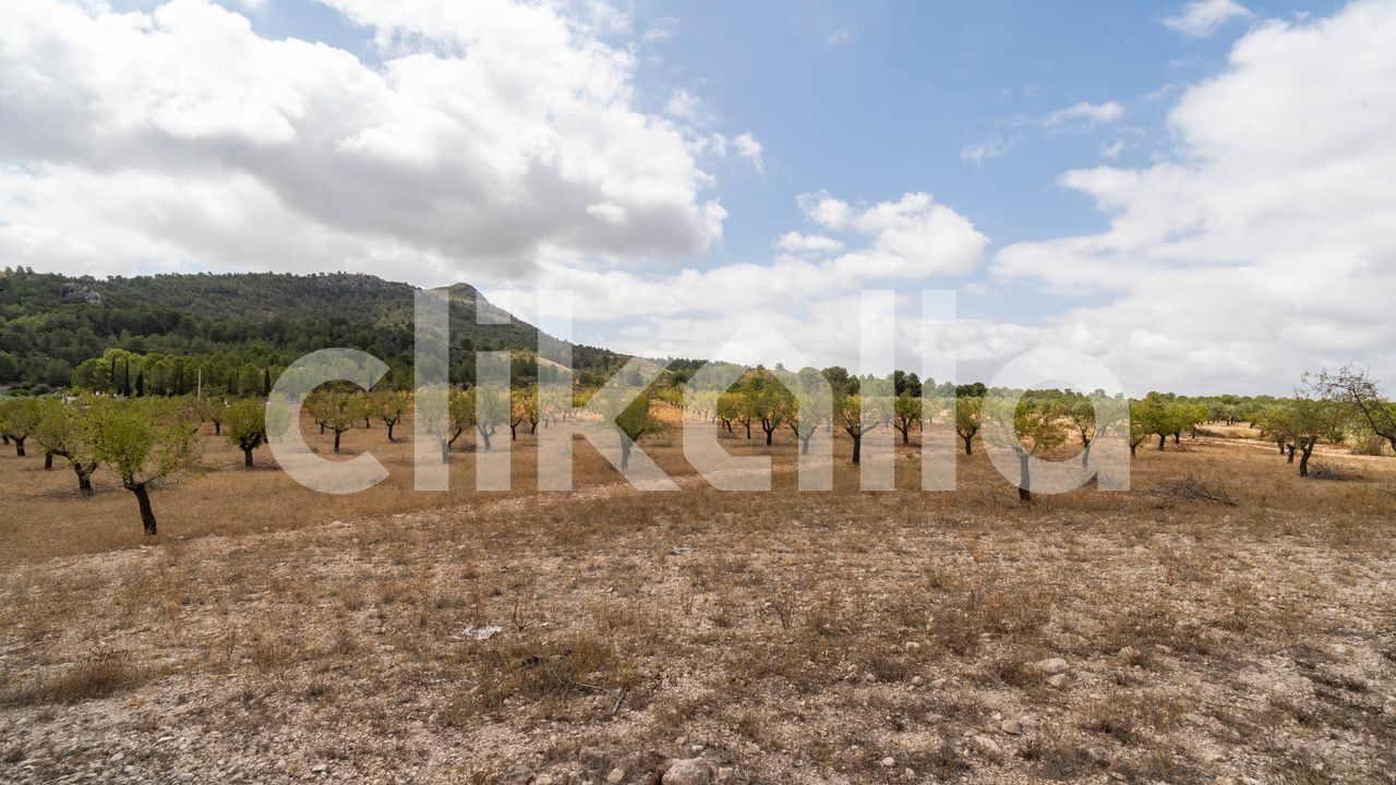 media image