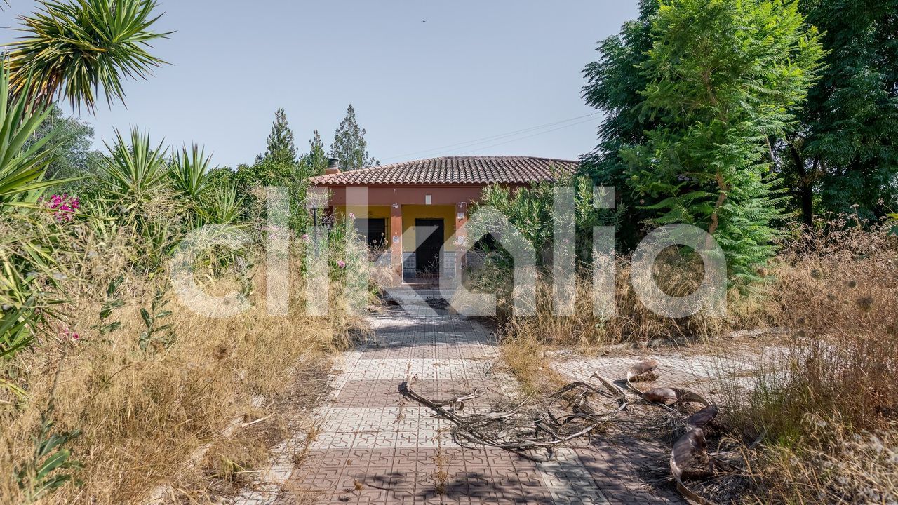 media image