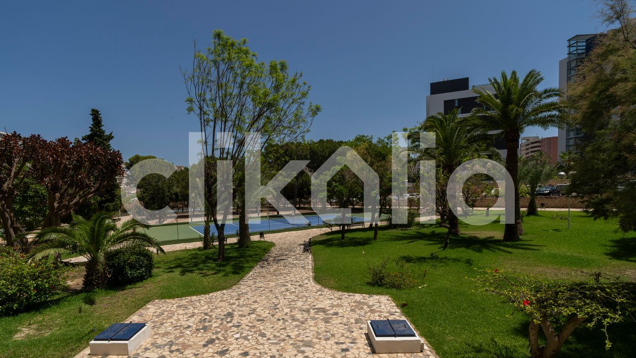 media image