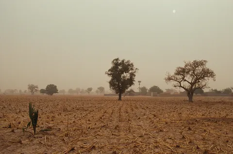 Mejoras en Mali por el Cambio Climático