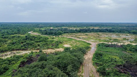 El impacto del cambio climático en Nigeria: un reto creciente