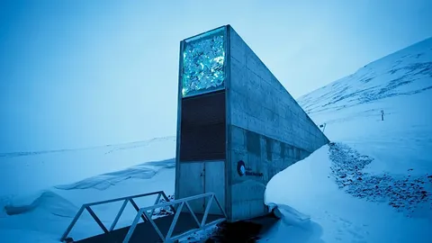El olivo en el búnker postapocalítico de Svalbard