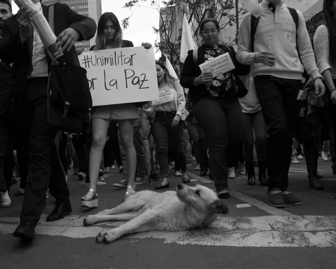 Activistas por los derechos de los animales chocan contra un pesquero cerca de la Antártida