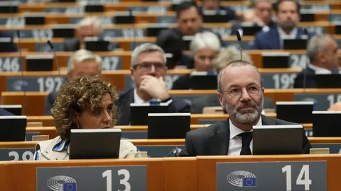 Parlamento Europeo: Colaboración entre el PPE y AfD para Endurecer la Política Migratoria