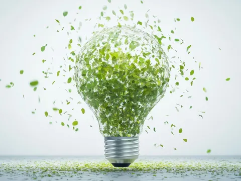 La Energía Renovable en República Dominicana: Retos y Oportunidades