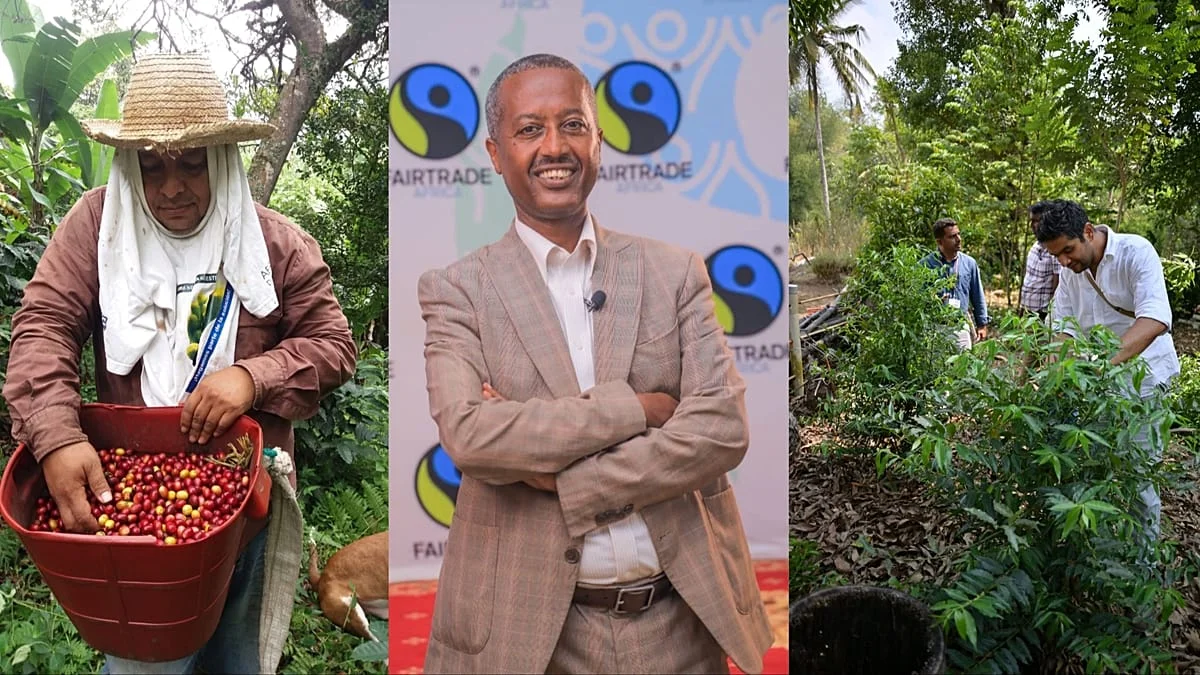 Caficultores y el Calentamiento Climático