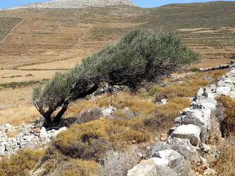 El deshielo en Grecia: un problema creciente