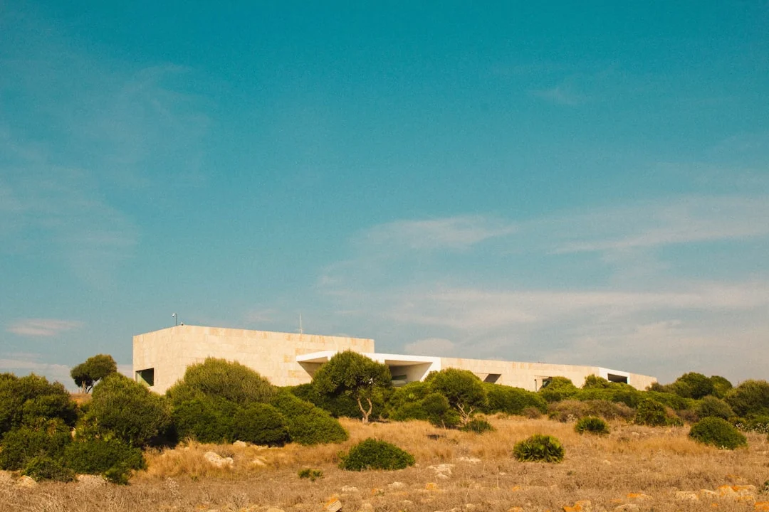 Claudia Sheinbaum llevará un caso a la CIDH sobre muertes de mexicanos en EE. UU.