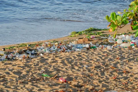 Los químicos del plástico y los partos prematuros