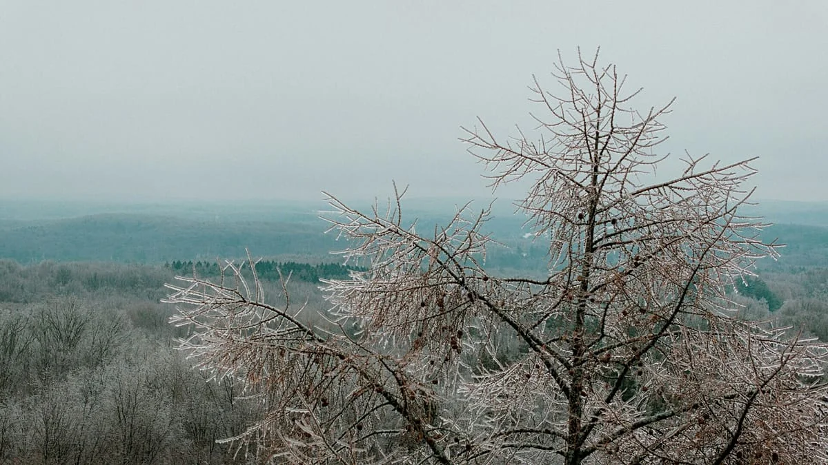 Enero: Frío en Europa y Calor en el Sur