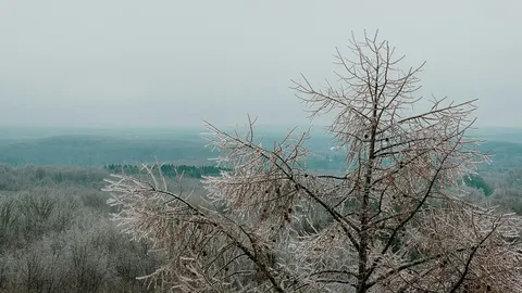 Enero: Frío en Europa y Calor en el Sur