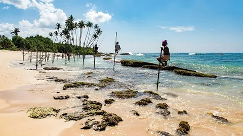 Sri Lanka lanza su visado para nómadas digitales: playas paradisíacas y fauna salvaje