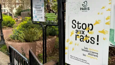 París busca mejorar su imagen afectada por ratas y basura