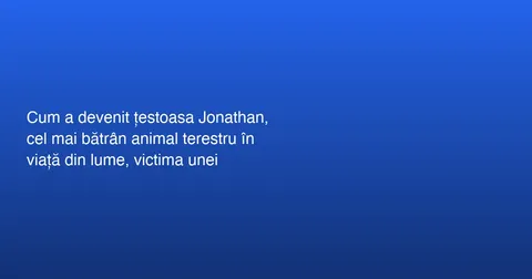 Țestoasa Jonathan, victima unei escrocherii online