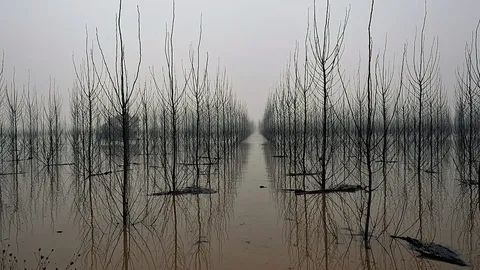 Fallece una mujer de 69 años en Campanario por la corriente del río Zújar