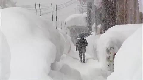 Nevadas en Japón causan problemas graves