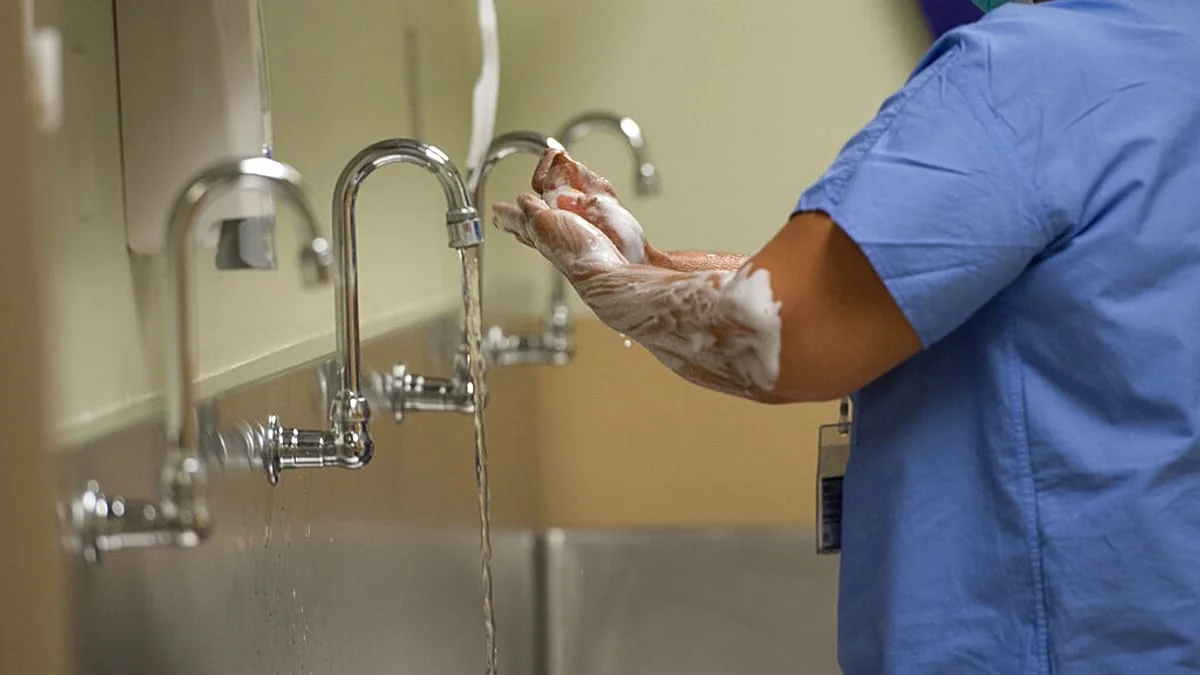 Avances en el Estudio del Trasplante Renal: Nuevas Perspectivas para el Futuro