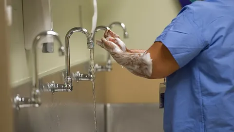 Avances en el Estudio del Trasplante Renal: Nuevas Perspectivas para el Futuro