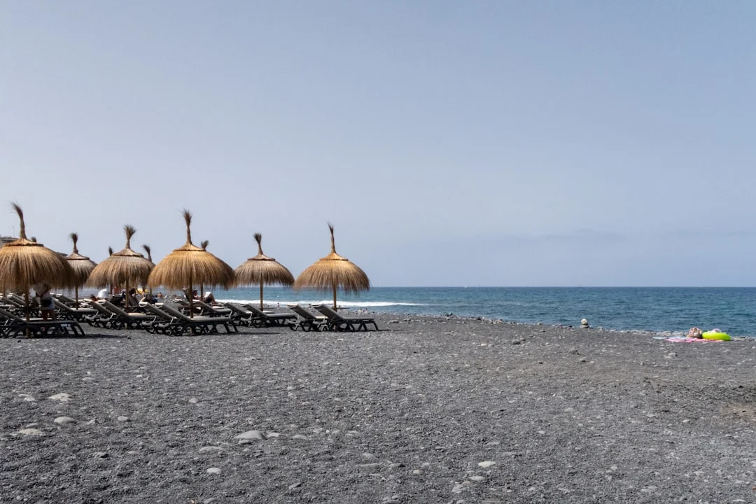 Inauguración del Nuevo Complejo Imam al Bujari en Samarcanda