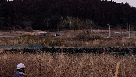 Japón recuerda el 15º aniversario del terremoto y tsunami de Fukushima