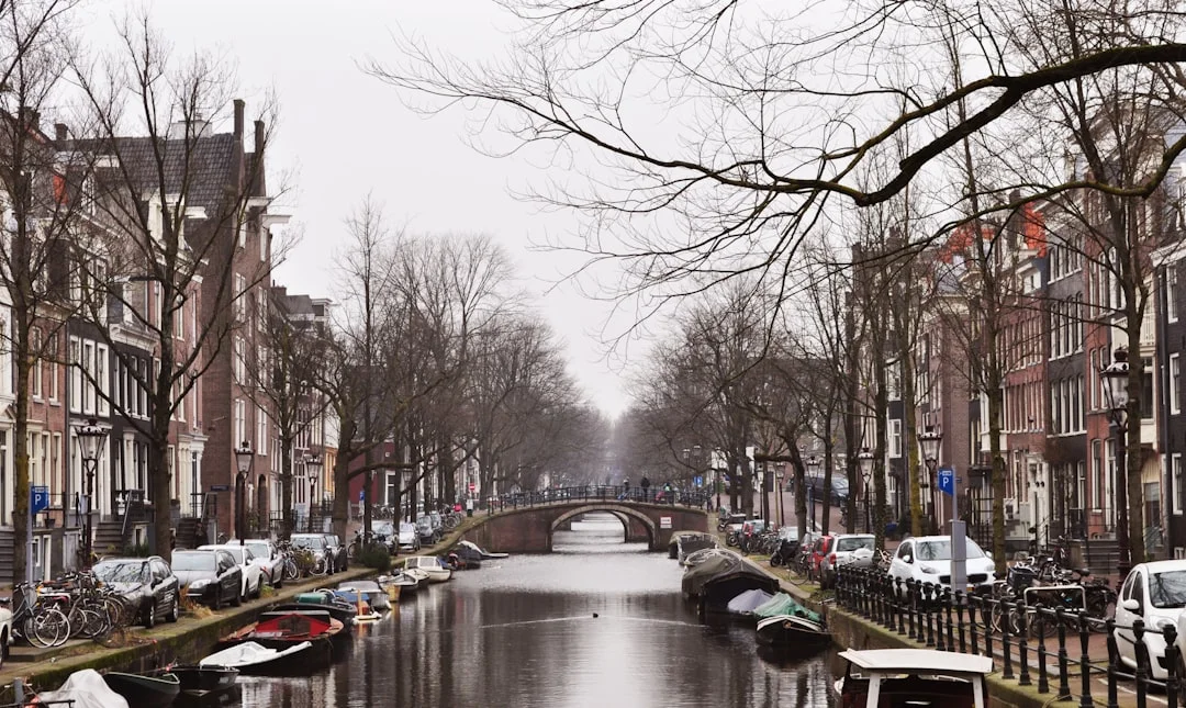 Recuperan un casco de oro de 2.500 años en Países Bajos