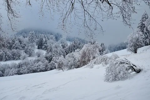 Un Retorno Inesperado del Invierno en Moscú: Un Fenómeno Meteorológico Singular