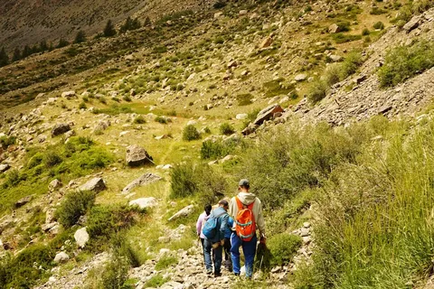 Atracciones a gran altura: paseos únicos para aventureros