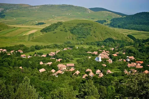 Situația șantierului naval din Mangalia