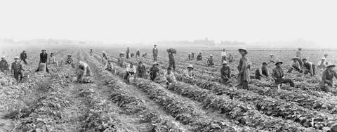 Crisis de Fertilizantes y Seguridad Alimentaria