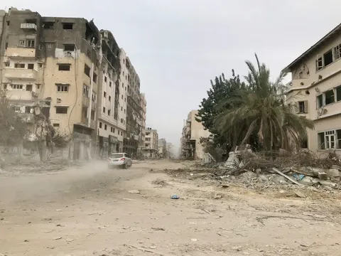 Crisis Sanitaria en Gaza: El Aumento de la Infección por Roedores entre los Refugiados