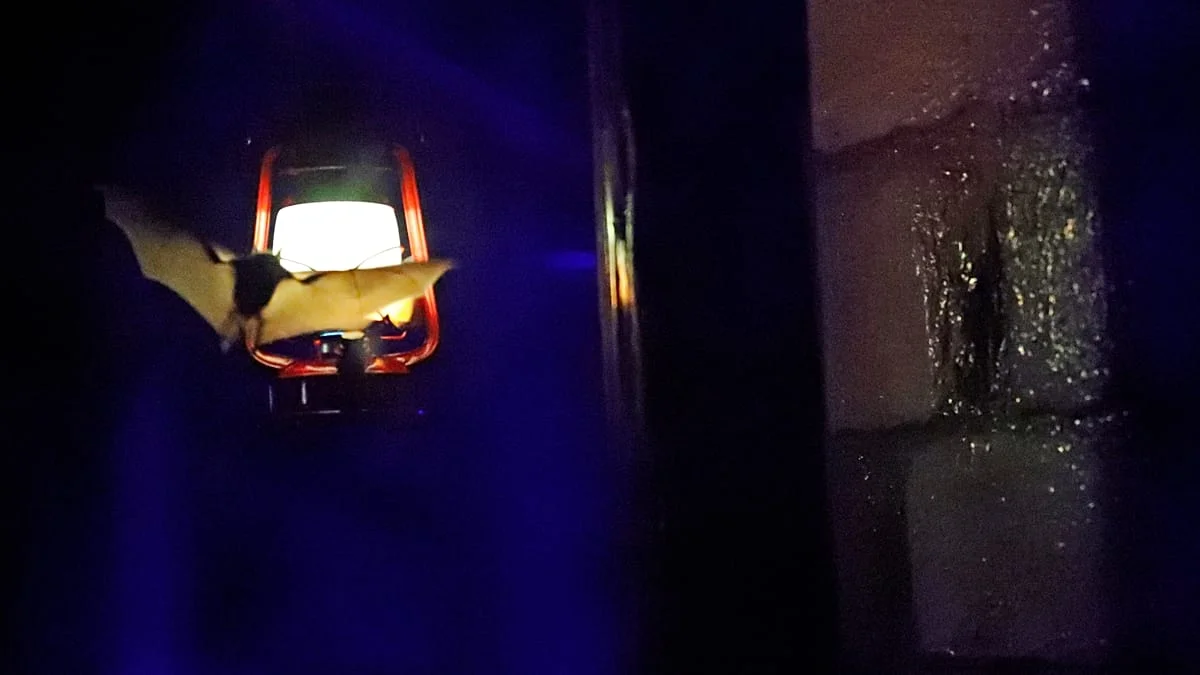 De Dinamarca al Reino Unido: las ciudades europeas eligen luz roja