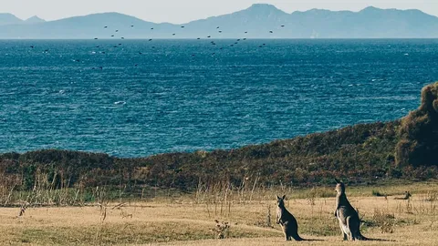 El peligro de la IA en los viajes: destinos inventados