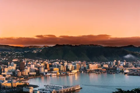 Wellington y el regreso del kiwi: una campaña ciudadana